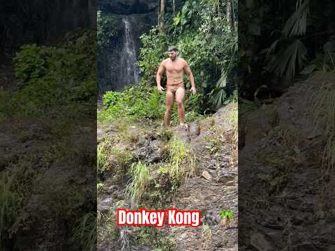 Donkey Kong Status #jungle #donkeykong #nature #shorts